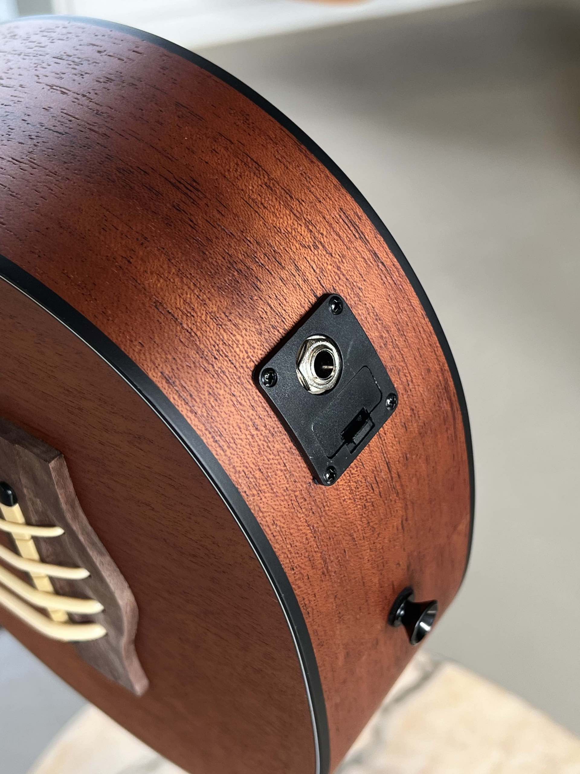 EKO Duo Ukubass Fretless - immagine 7